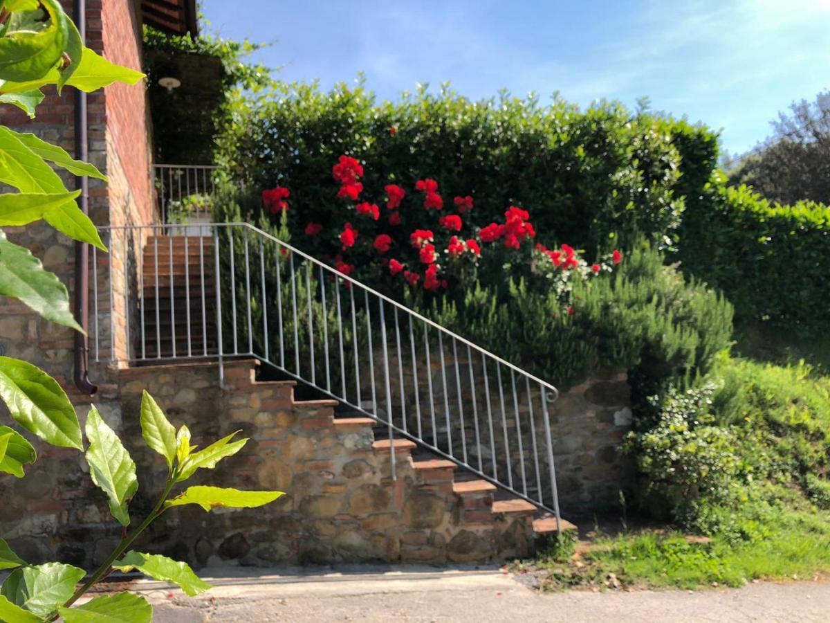 Chille Villa Capannori Bagian luar foto